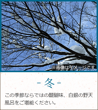 冬